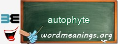 WordMeaning blackboard for autophyte